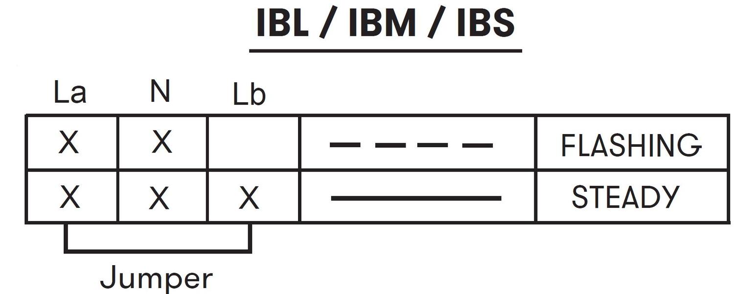 IBL_IBM_IBS_connection.JPG