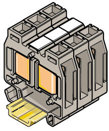 Illustration of RCAL85 markers on block