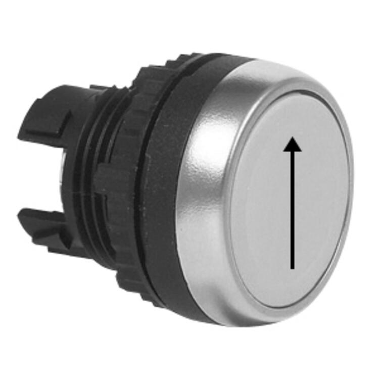 L21AA05_pil.jpg
