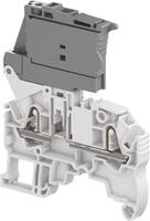 ZK2,5-SF.jpg
